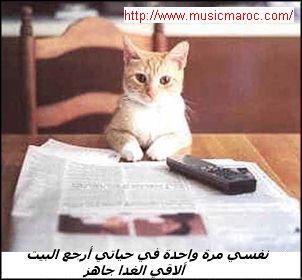 my chat